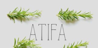 Free Atifa Serif Font
