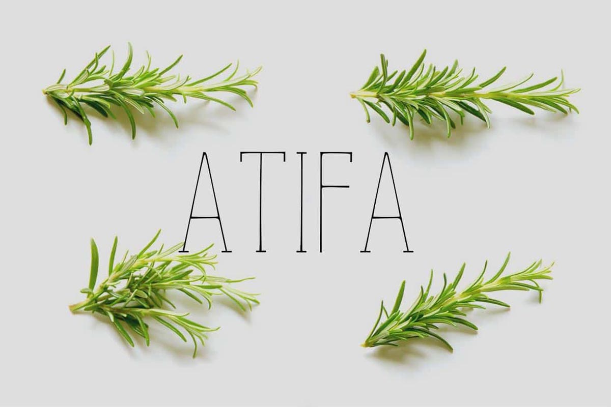 Free Atifa Serif Font