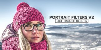 Free Portrait Lightroom Presets Ver. 2