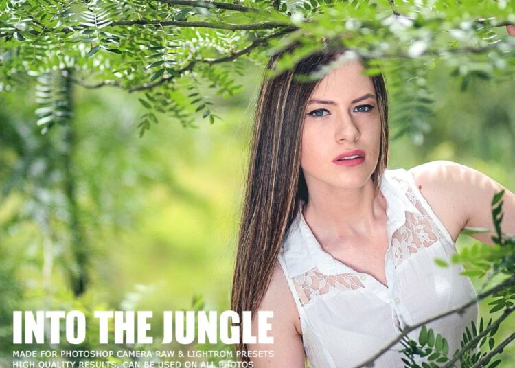 into the jungle presets