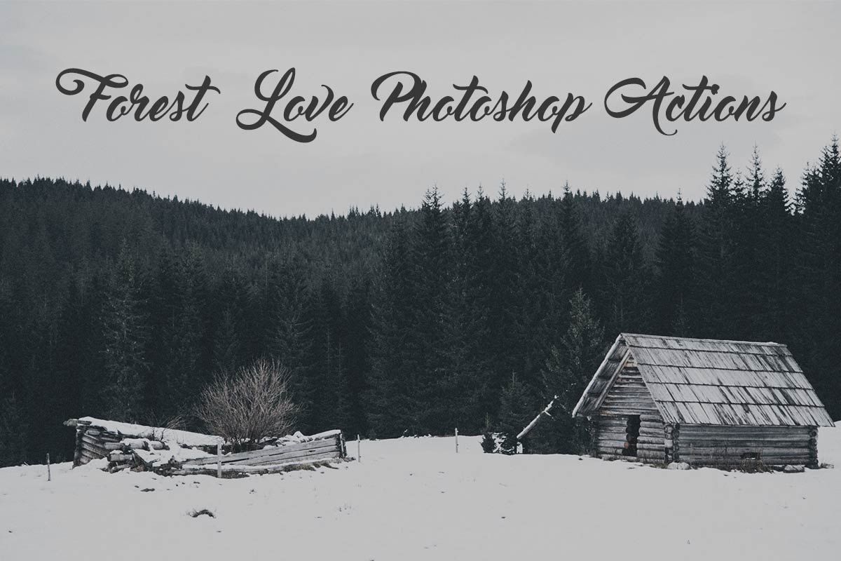 Forest Love Photoshop Actions Featured