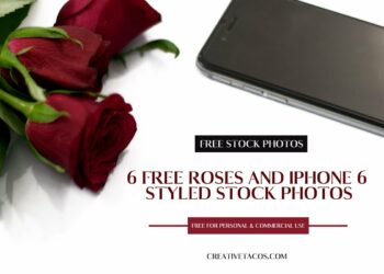 6 Free Roses and iPhone 6 Styled Stock Photos