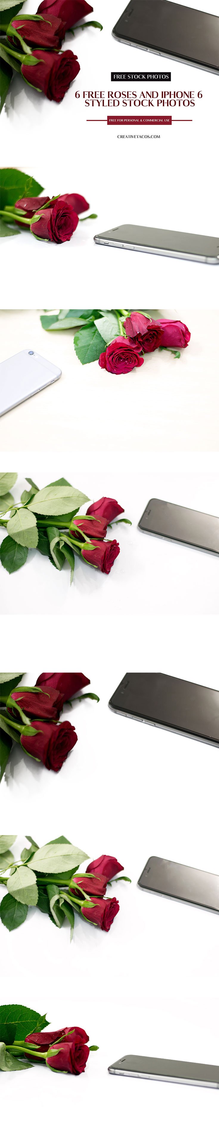 6 Free Roses and iPhone 6 Styled Stock Photos