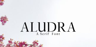 Free Aludra Serif Font