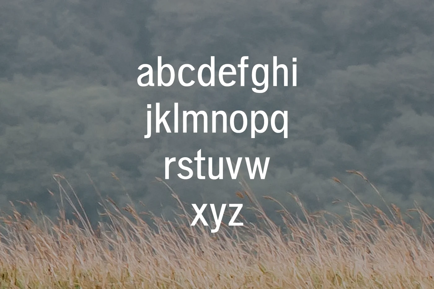 Deron Sans Serif Font Preview 3