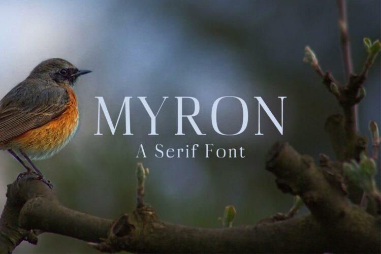 Myron Demo Feature Image