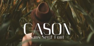 Free Cason Sans Serif Font