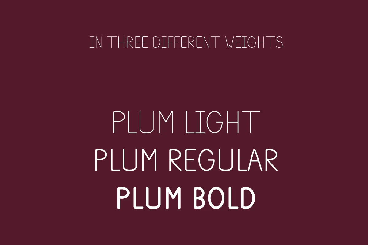 Plum Sans Serif Font Preview 2