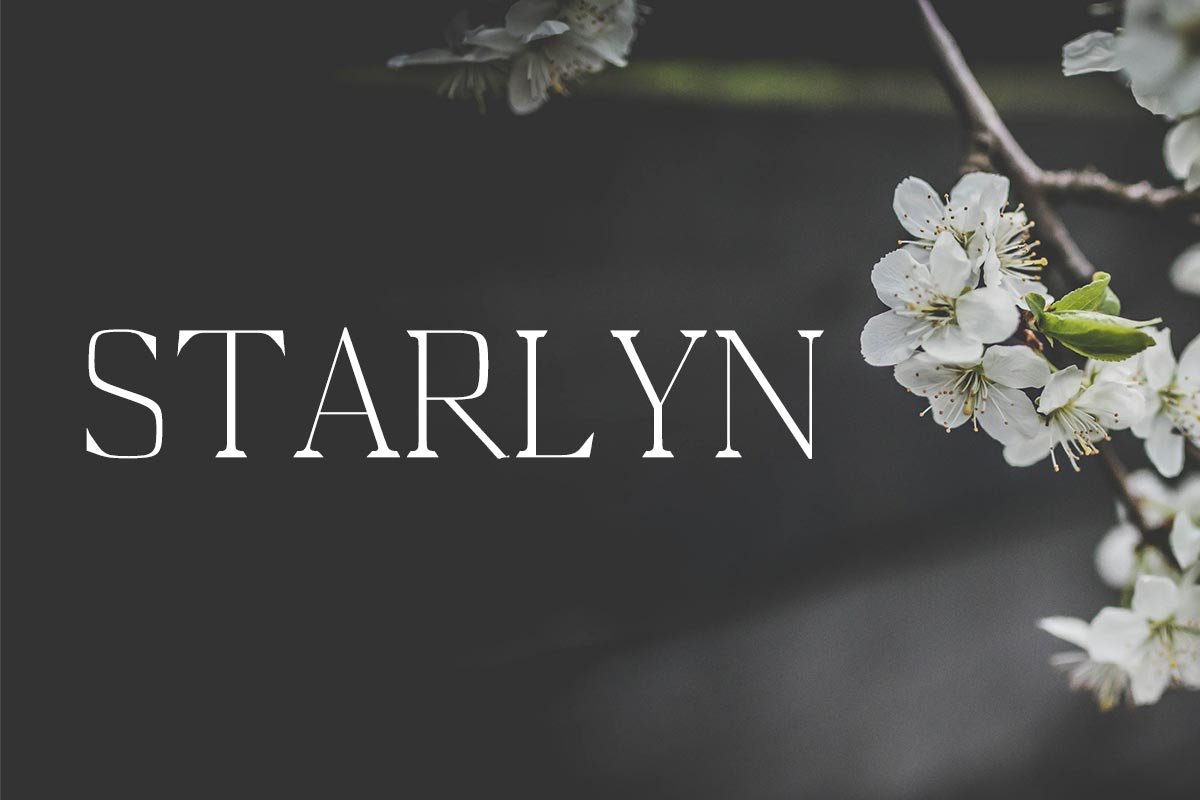Free Starlyn Serif Font