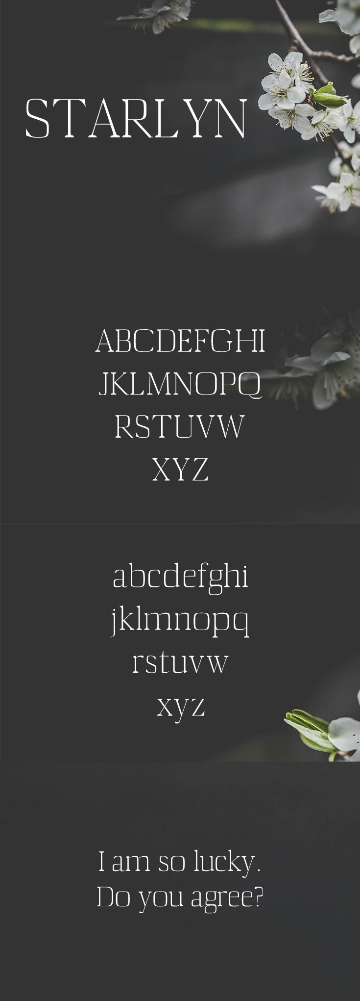 Free Starlyn Serif Font