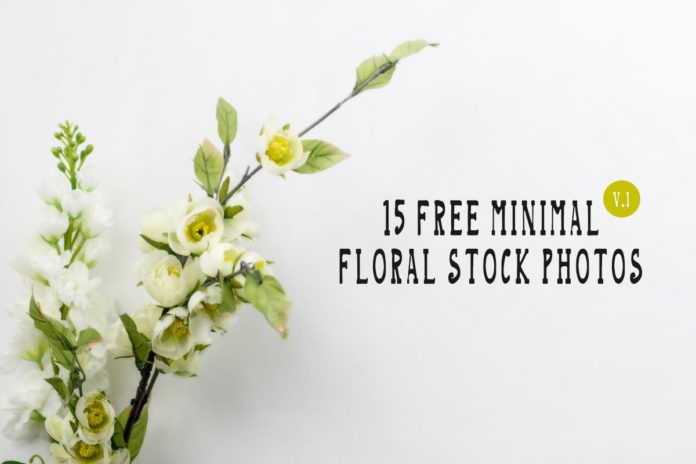 15 Free Minimal Floral Stock Photos - Vol.1