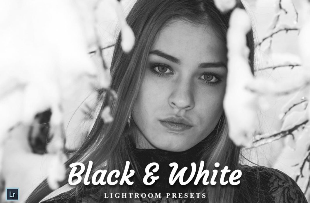 20 Black White Lightroom Preset - Free Download