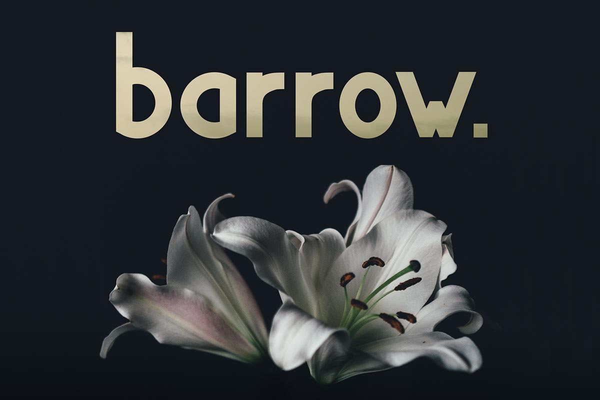 Free Barrow Display Typeface