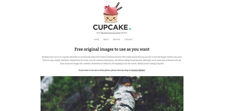 31 Free Stock Photos Sites To Find Awesome Free Images