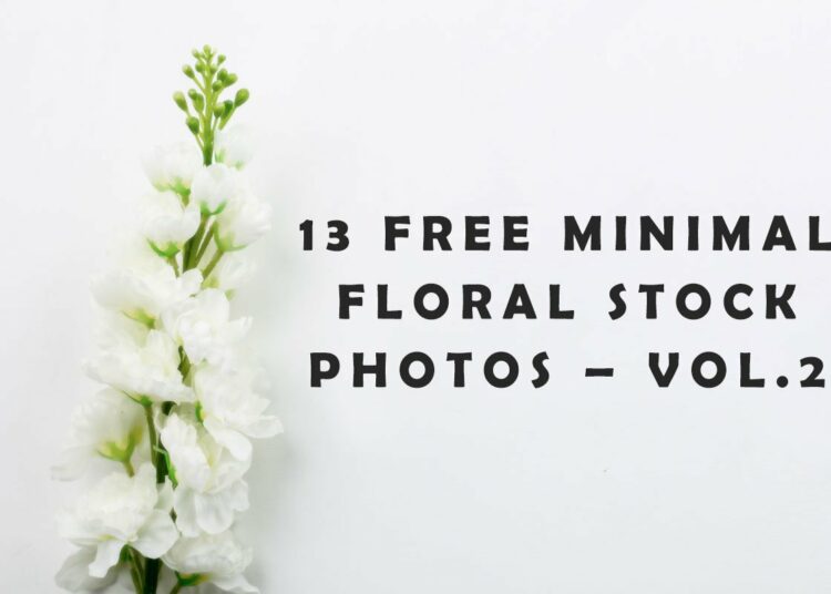 13 Free Minimal Floral Stock Photos – Vol.2