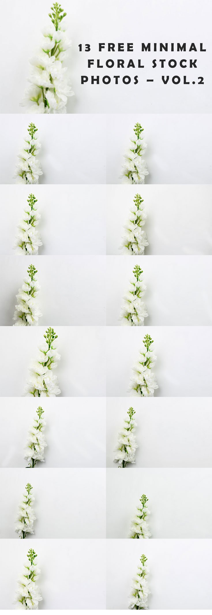 Free Minimal Floral Stock Photos – Vol.2 is a stock photos mockup collection of high resolutions photos of white flowers, perfect to use as backgrounds.