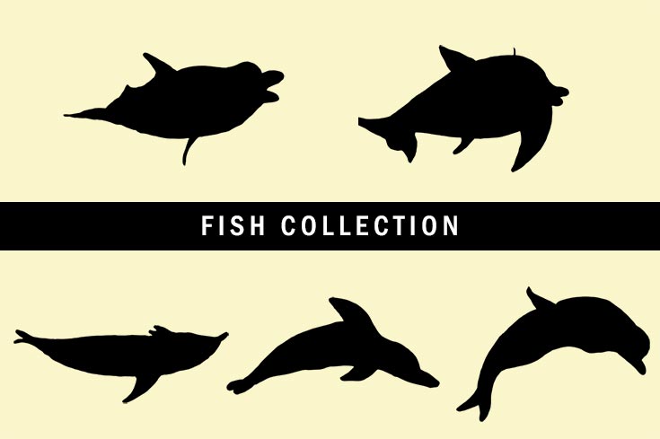 5 Free Fish Collection Clipart