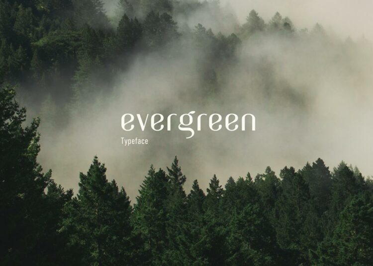 Free Evergreen Sans Serif Font