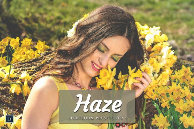 Free Haze Lightroom Presets