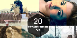 20 Free Junglee Lightroom Presets