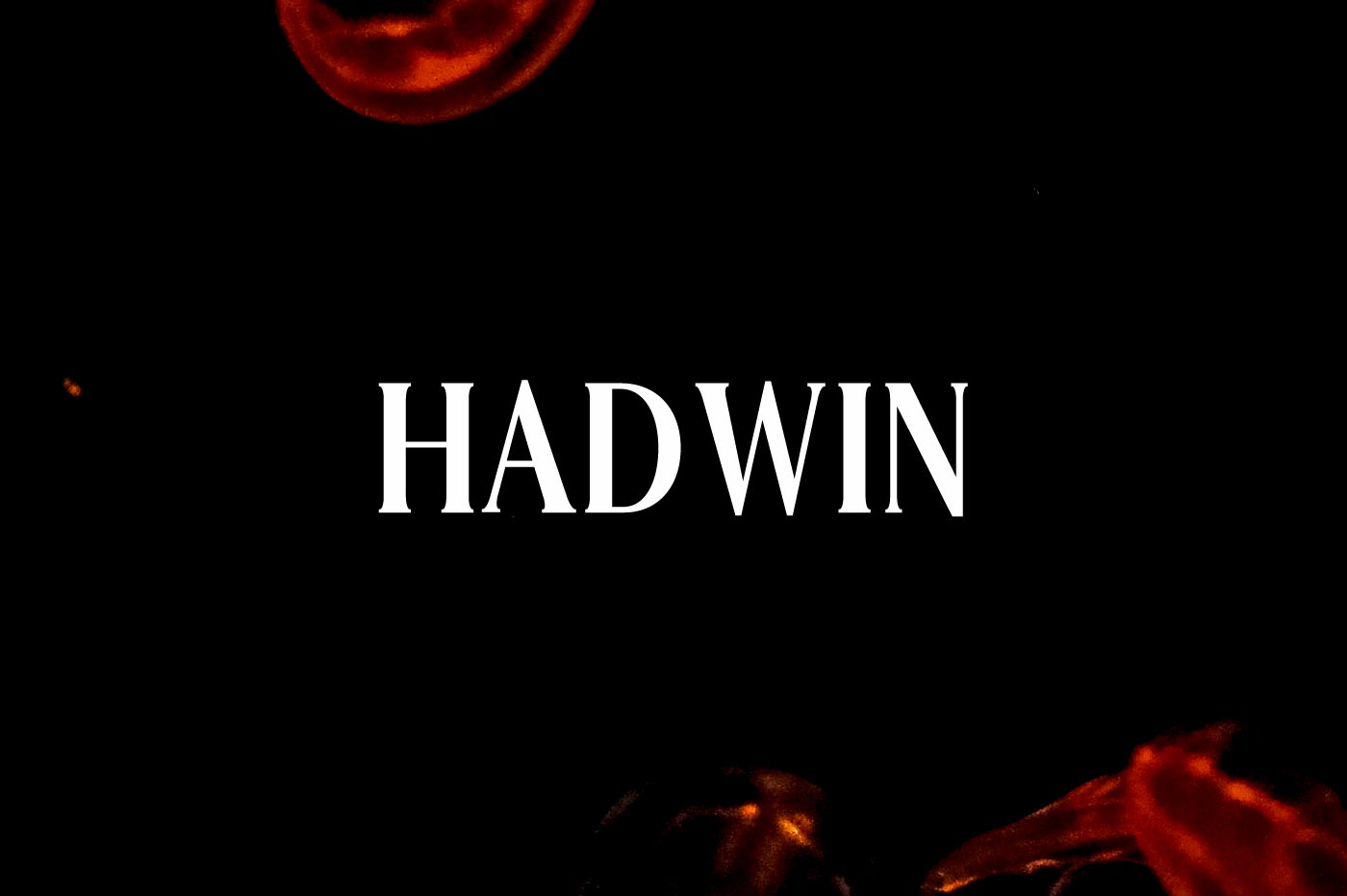 Free Hadwin Serif Font
