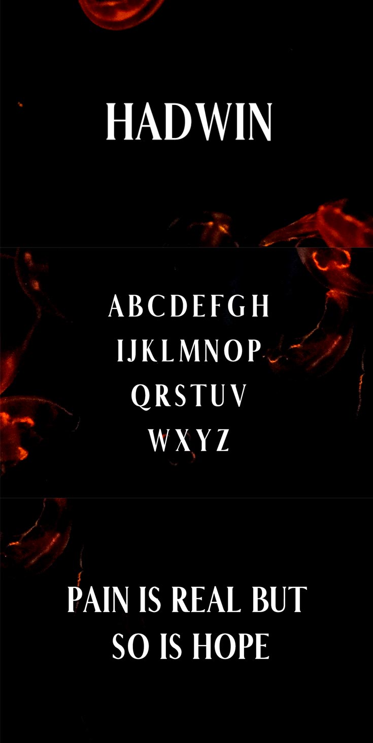Free Hadwin Serif Demo Font