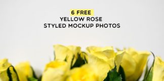 6 Free Yellow Rose Styled Mockup Photos