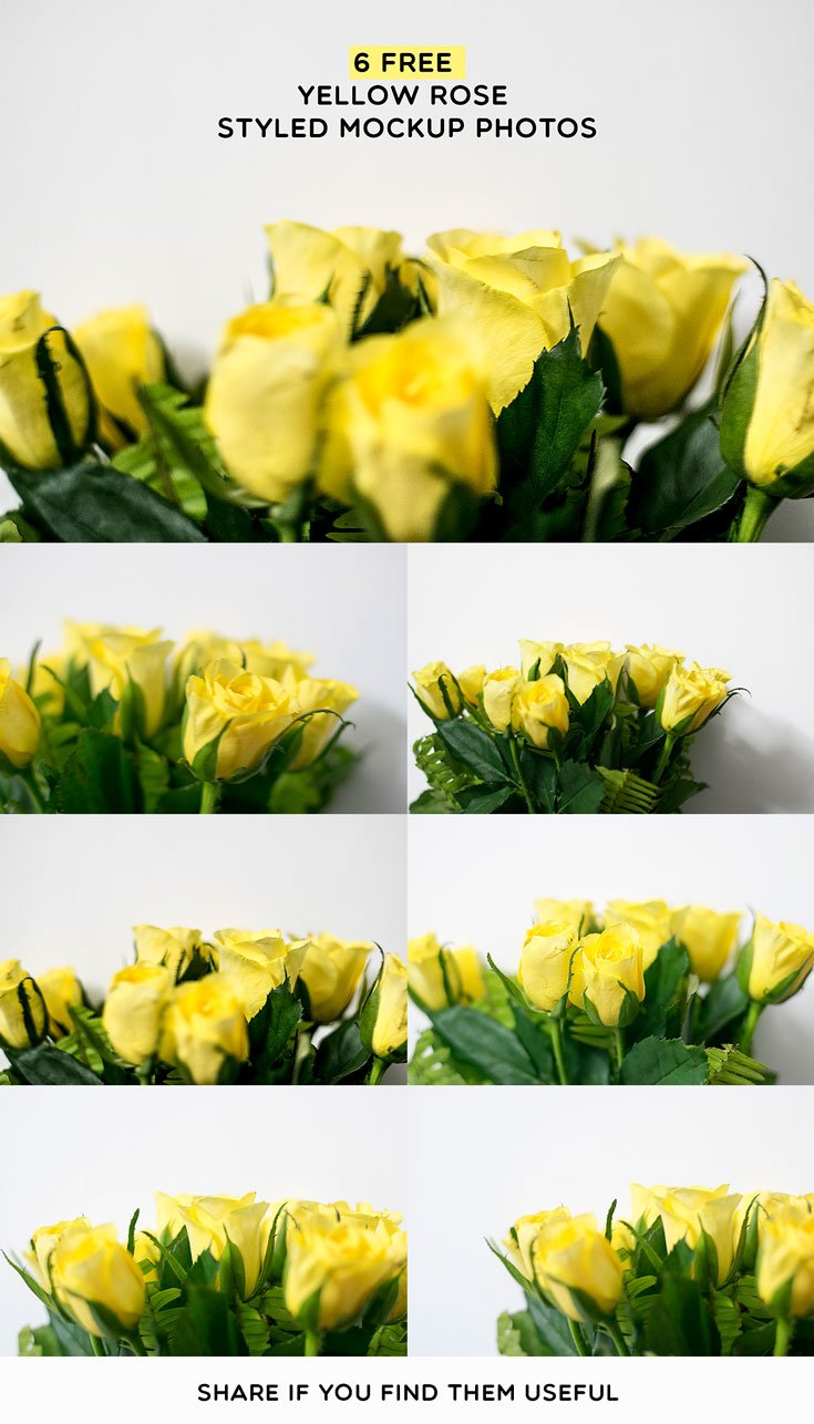6 Freepic Yellow Rose Styled Mockup Photos
