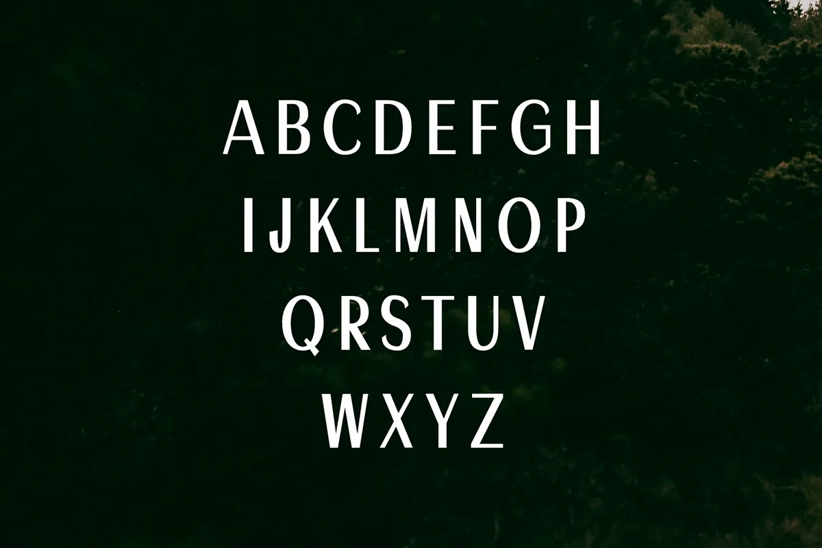 Ackley Sans Serif Font Preview 2