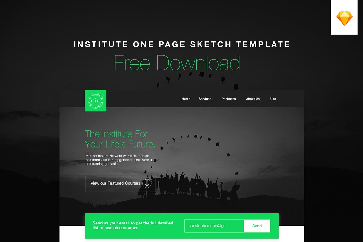 Free Institute One Page Sketch Template