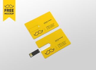 Free USB Card Mockup