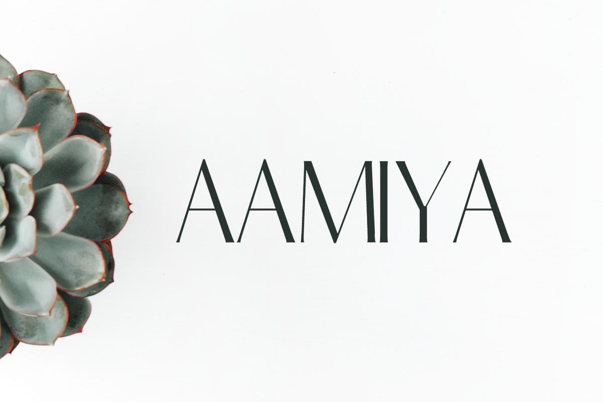 Free Aamiya Serif Typeface