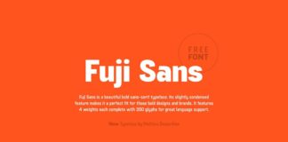 Free Fuji Sans Serif Typeface