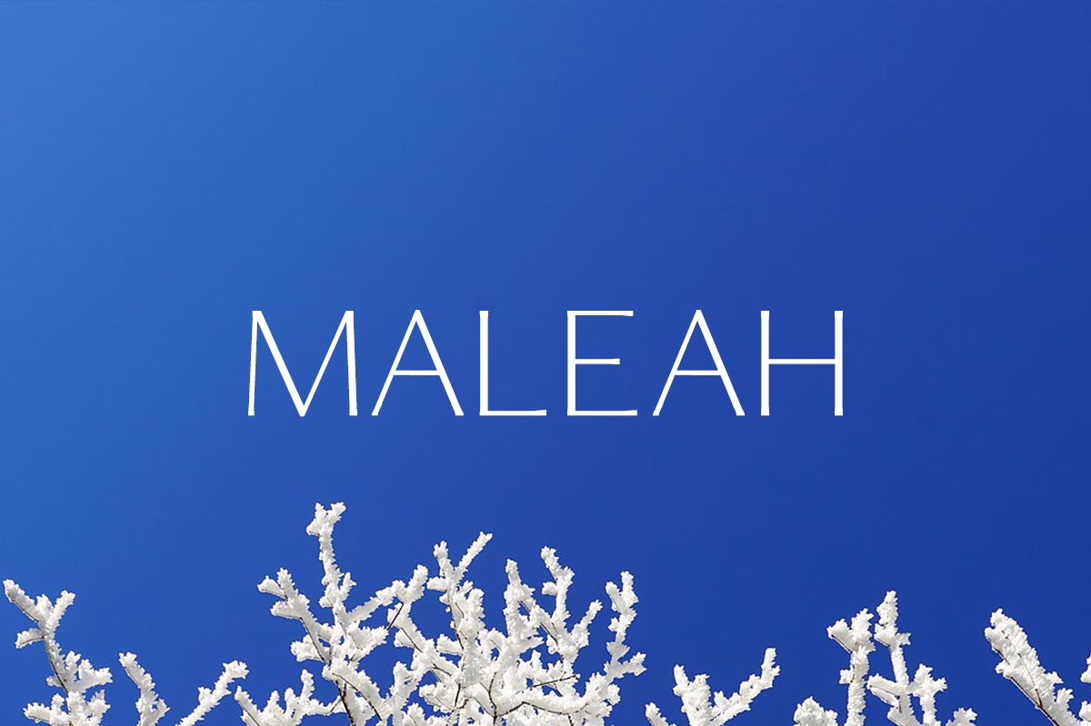 Free Maleah Sans Serif Font