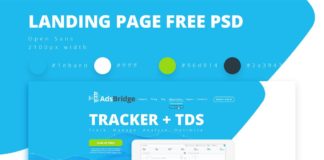 Free AdsBridge Landing Page Design PSD