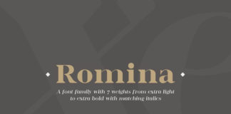Free Romina Serif Demo Font Family