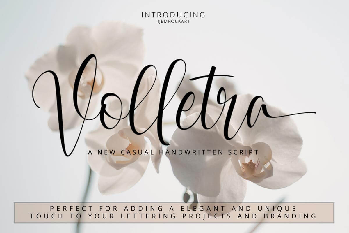 Free Volletra Script Font