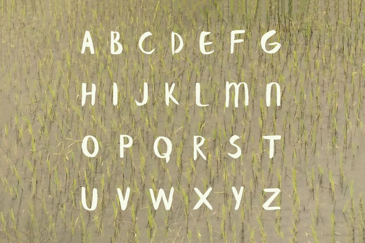 Banaue Brush Script Font Preview 4