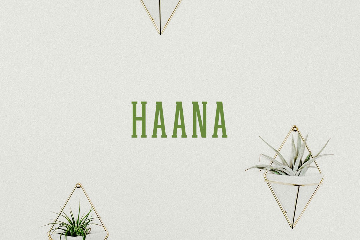 Free Haana Slab Serif Font