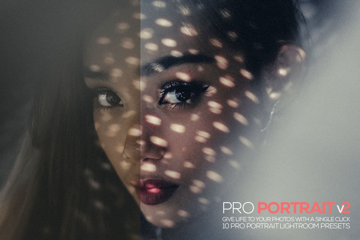 10 Free Portrait Pro V2 Lightroom Presets