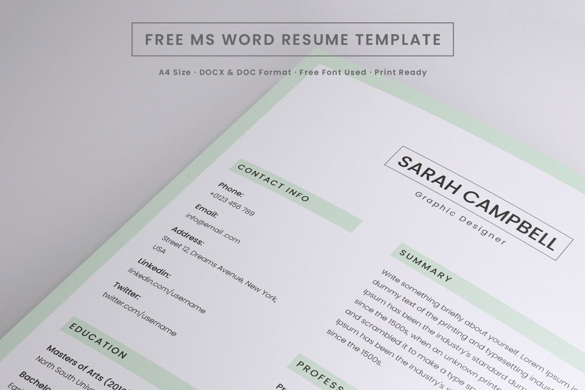 free resume microsoft word template
