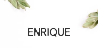 Free Enrique Sans Serif Font