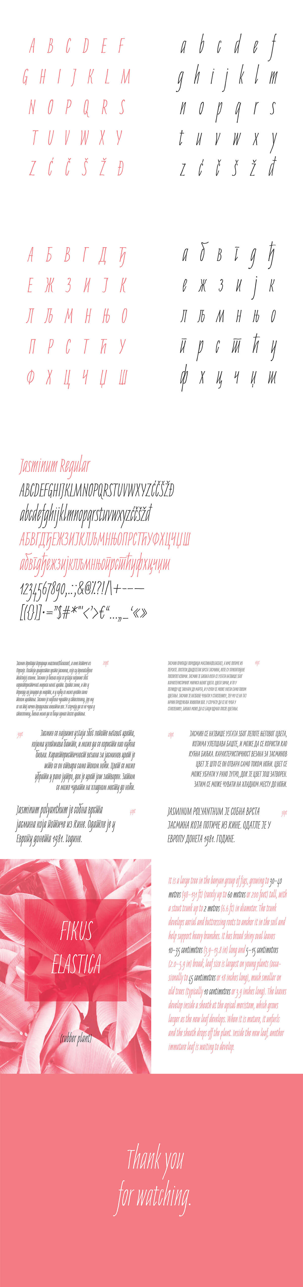 Free Jasminum Handwriting Font