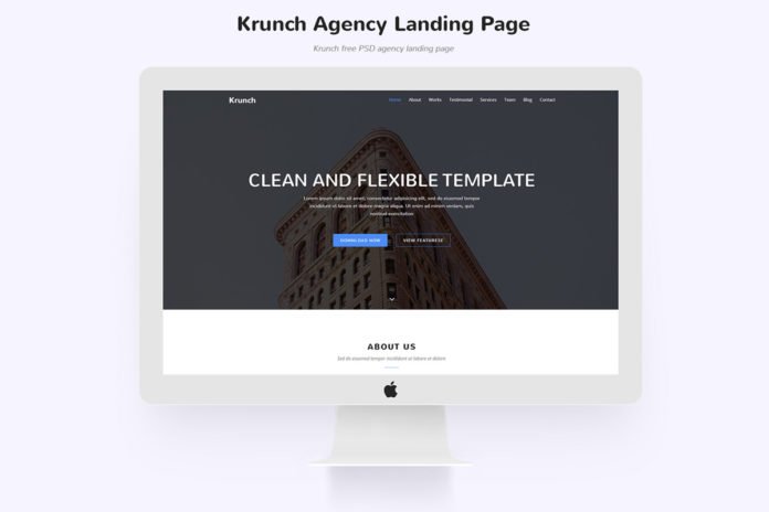 Free Krunch Agency Landing Page Design PSD