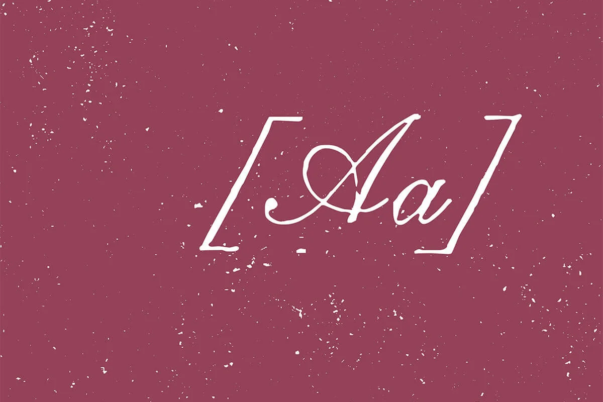 LadyBoy Calligraphy Script Font Preview 1