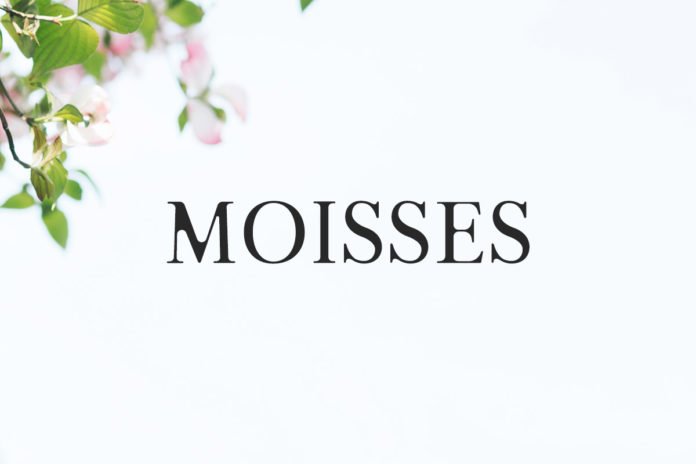Free Moisses Serif Font