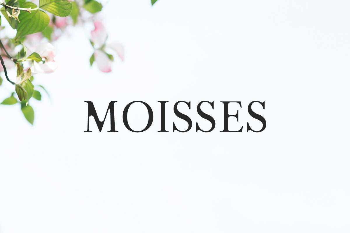 Moisses 1
