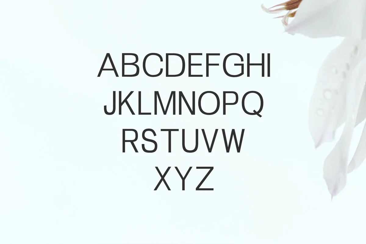 Zevida Sans Serif Font Preview 2