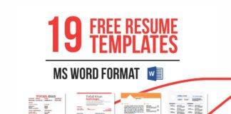 19 Free Resume Templates
