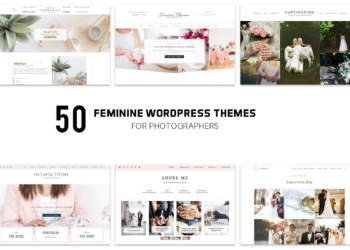 50 Feminine WordPress Themes for Photographers